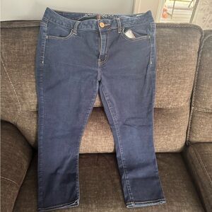 American Eagle Outfitters Women's Dark Blue Skinny Jeans